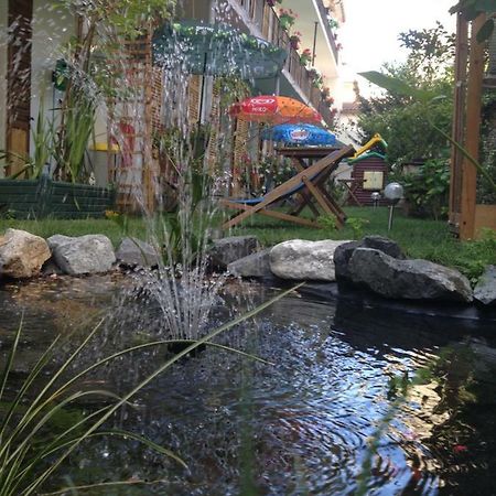 Hotel Nice Flore فيشي المظهر الخارجي الصورة